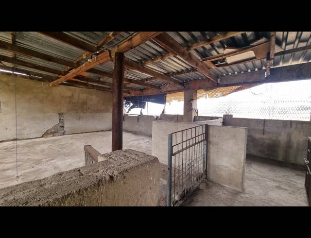 FARM FOR SALE IN NEWCASTLE RURAL